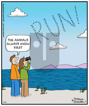 Half Full on Saturday July 19, 2014 Comic Strip