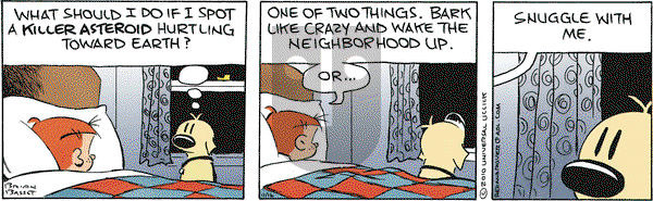 Red and Rover on Tuesday November 16, 2010 Comic Strip