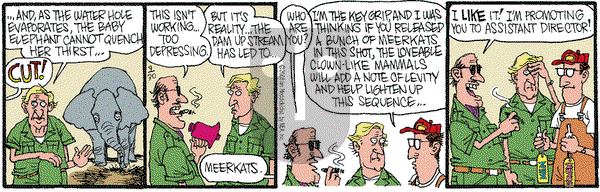 Monty on Tuesday September 30, 2008 Comic Strip