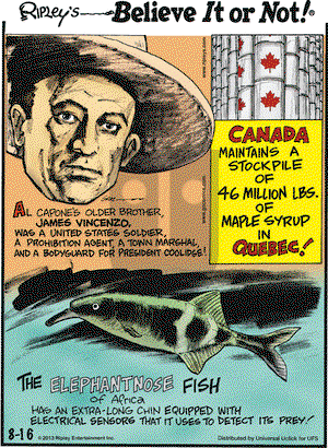 Ripley's Believe It or Not on Friday August 16, 2013 Comic Strip