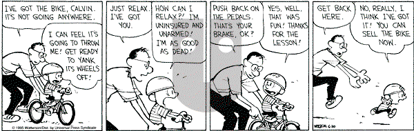 Calvin and Hobbes - Tuesday June 20, 1995 Comic Strip