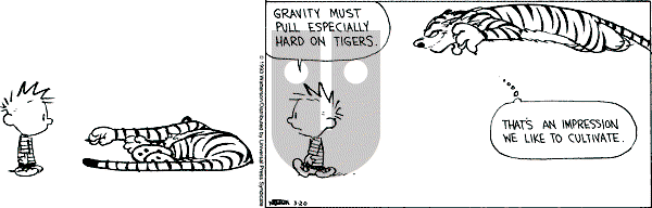 Calvin and Hobbes - Saturday March 20, 1993 Comic Strip