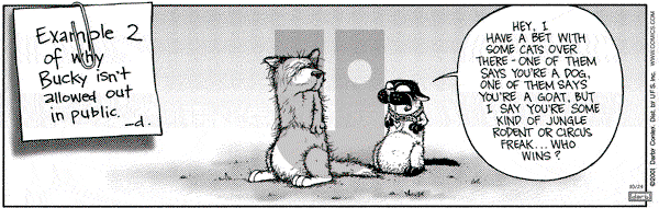 Get Fuzzy - Wednesday October 24, 2001 Comic Strip