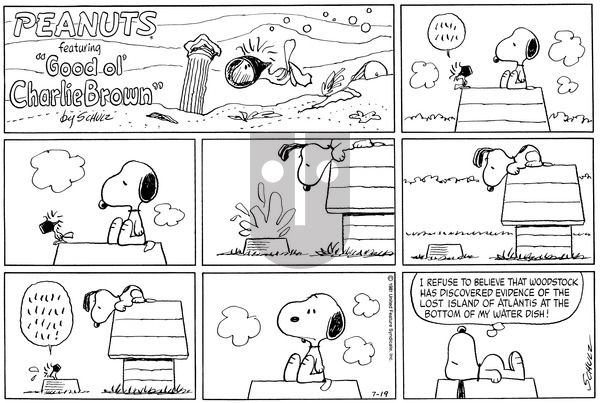 Peanuts on Sunday July 19, 1981 Comic Strip