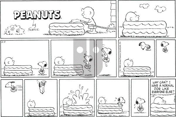 Peanuts - Sunday August 15, 1993 Comic Strip