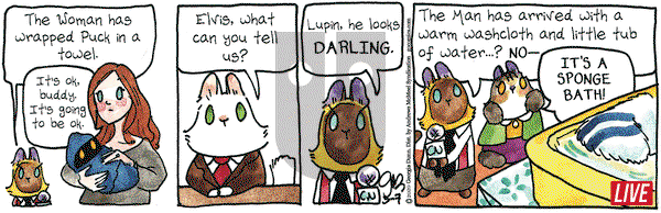 Breaking Cat News on Saturday March 7, 2020 Comic Strip