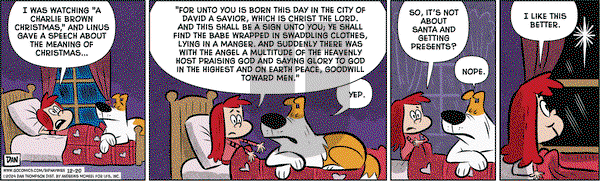 Rip Haywire on Friday December 20, 2024 Comic Strip