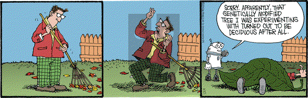 Monty on Tuesday November 11, 2014 Comic Strip