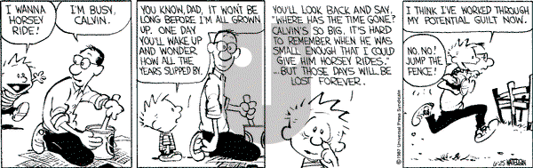 Calvin and Hobbes - Thursday June 25, 1987 Comic Strip