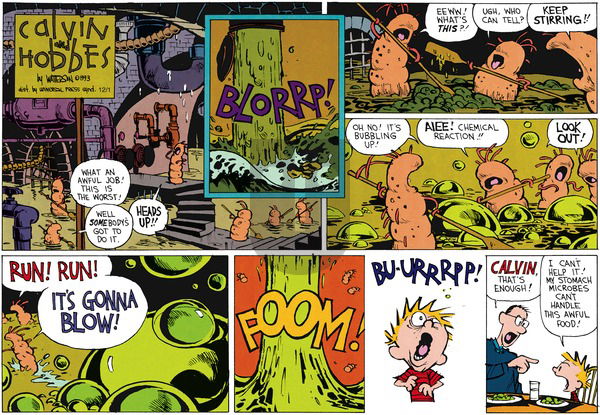 Calvin and Hobbes on Sunday February 7, 1993 Comic Strip