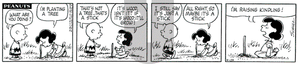 Peanuts on Wednesday April 22, 1970 Comic Strip