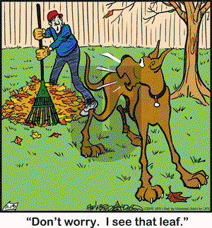 Marmaduke on Friday November 13, 2015 Comic Strip
