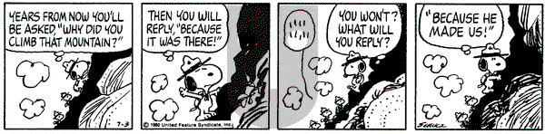 Peanuts on Thursday July 3, 1980 Comic Strip