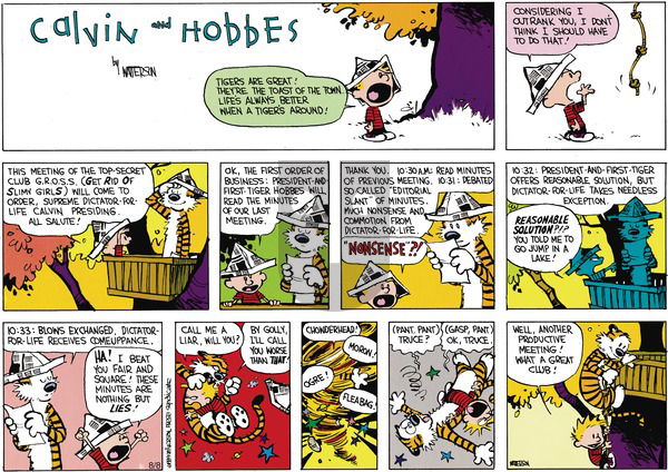 Calvin and Hobbes on Sunday September 24, 1989 Comic Strip