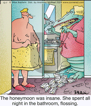 Cornered - Saturday December 7, 2024 Comic Strip