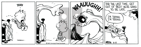 Calvin and Hobbes on Saturday August 8, 1987 Comic Strip