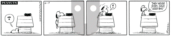 Peanuts on Thursday June 7, 1962 Comic Strip