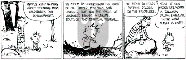 Calvin and Hobbes on Monday November 24, 2025 Comic Strip