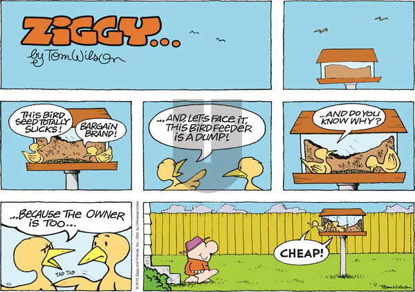 Ziggy on Sunday June 5, 2016 Comic Strip
