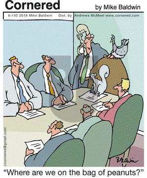 Cornered on Monday June 11, 2018 Comic Strip