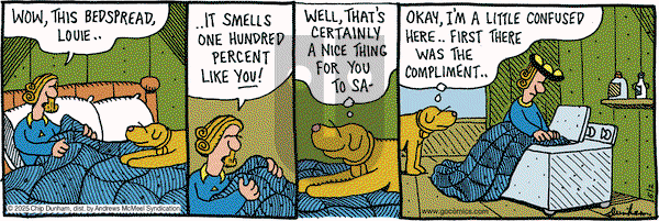 Overboard on Monday June 2, 2025 Comic Strip