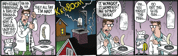 Monty - Saturday April 6, 2019 Comic Strip