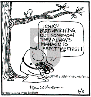 Ziggy on Saturday June 3, 1978 Comic Strip