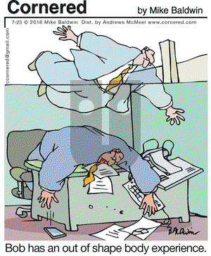 Cornered on Monday July 23, 2018 Comic Strip