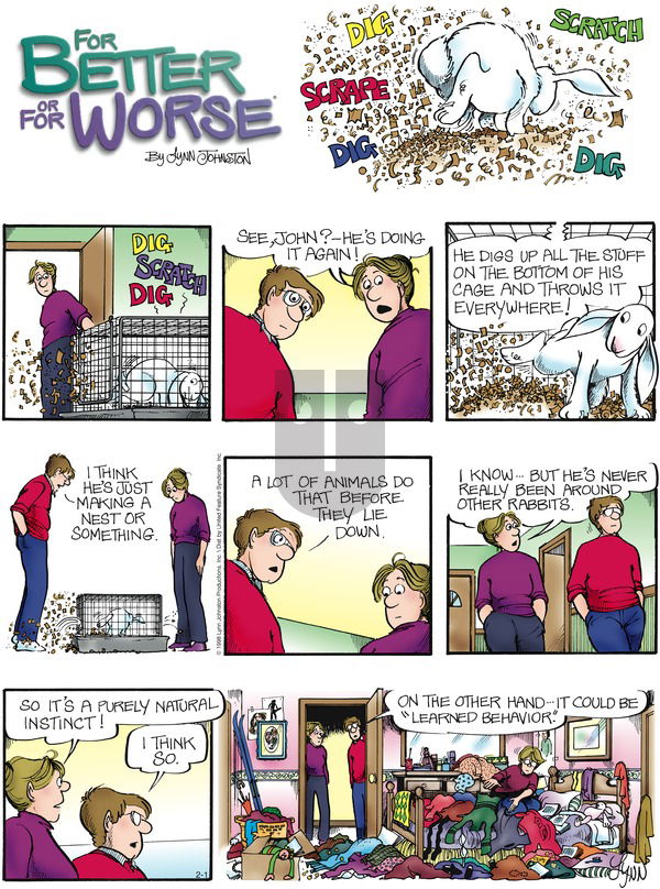 For Better or For Worse on Sunday February 1, 1998 Comic Strip