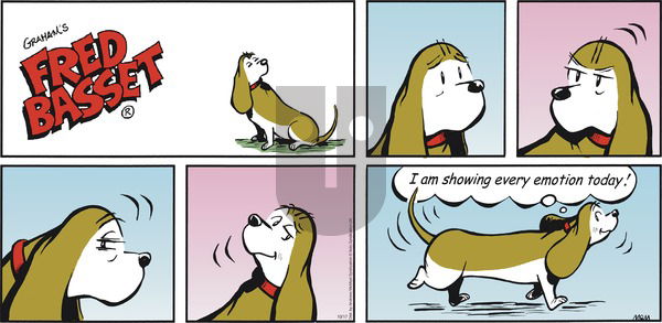 Fred Basset on Sunday October 17, 2021 Comic Strip