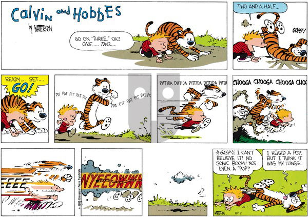 Calvin and Hobbes on Sunday September 29, 1991 Comic Strip
