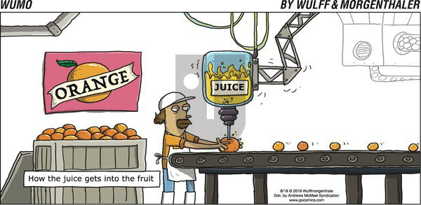 WuMo on Sunday August 18, 2019 Comic Strip