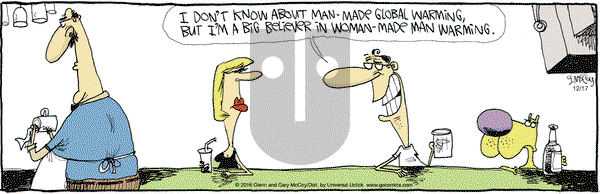 The Duplex on Saturday December 17, 2016 Comic Strip