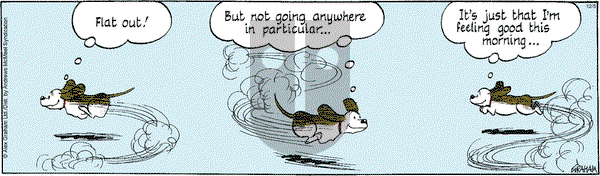 Fred Basset on Friday December 5, 2025 Comic Strip