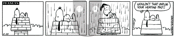 Peanuts on Thursday February 28, 1980 Comic Strip