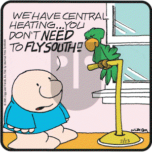 Ziggy - Wednesday February 23, 2005 Comic Strip