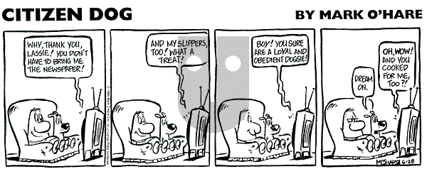 Citizen Dog on Wednesday June 11, 2025 Comic Strip