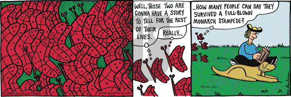 Overboard on Thursday April 16, 2015 Comic Strip