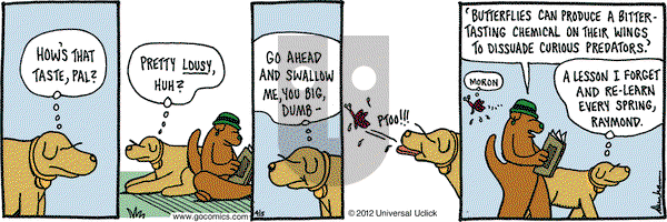 Overboard on Thursday April 5, 2012 Comic Strip