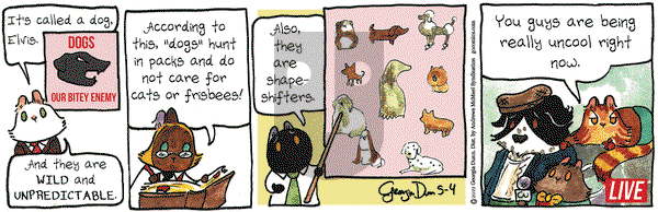 Breaking Cat News on Saturday May 4, 2019 Comic Strip