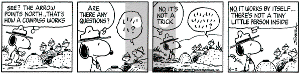Peanuts on Wednesday June 2, 1982 Comic Strip