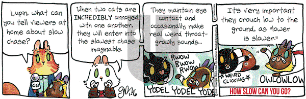 Breaking Cat News on Wednesday January 6, 2021 Comic Strip
