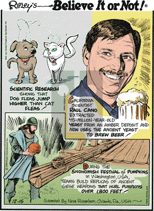 Ripley's Believe It or Not on Monday December 15, 2008 Comic Strip