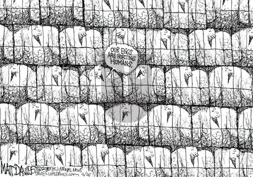 Matt Davies on Thursday August 26, 2010 Comic Strip