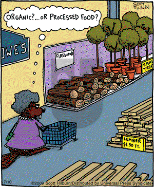 The Argyle Sweater on Friday July 10, 2009 Comic Strip