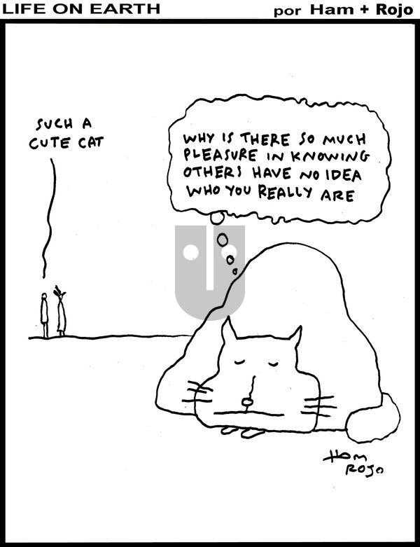 Life on Earth on Wednesday June 4, 2025 Comic Strip