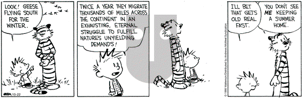 Calvin and Hobbes on Wednesday October 22, 2025 Comic Strip