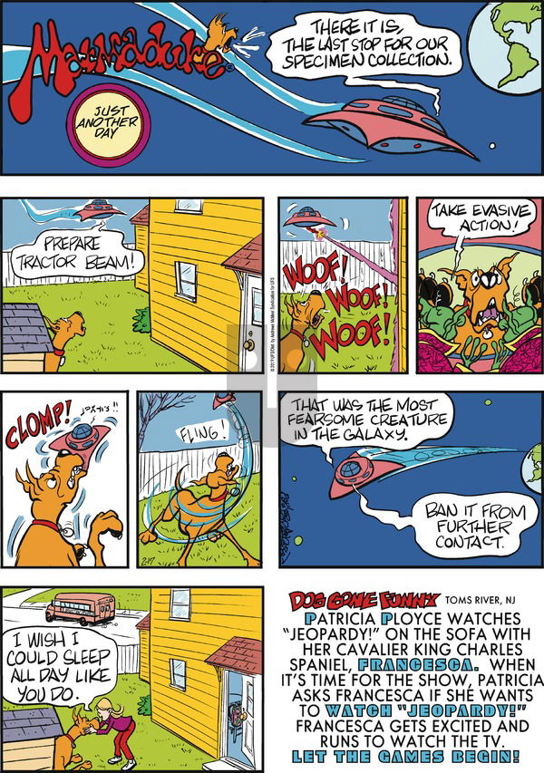 Marmaduke on Sunday February 17, 2019 Comic Strip