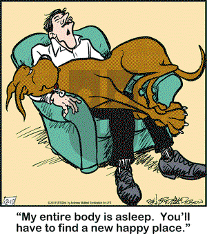 Marmaduke on Tuesday December 10, 2019 Comic Strip