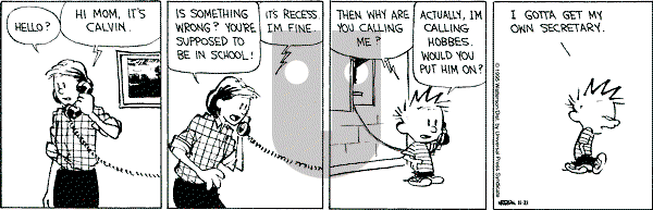 Calvin and Hobbes - Tuesday November 21, 1995 Comic Strip